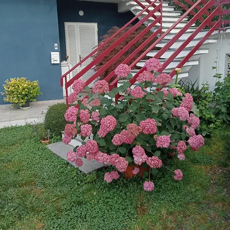 Casa Guanita * Uzzano